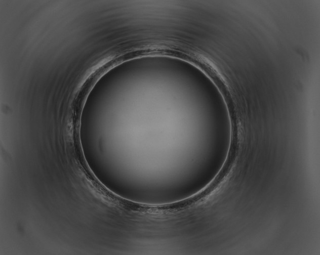 X0000090970827200708021435