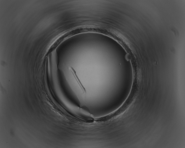 X0000090970829200708021435