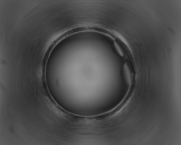 X0000090970831200708021435