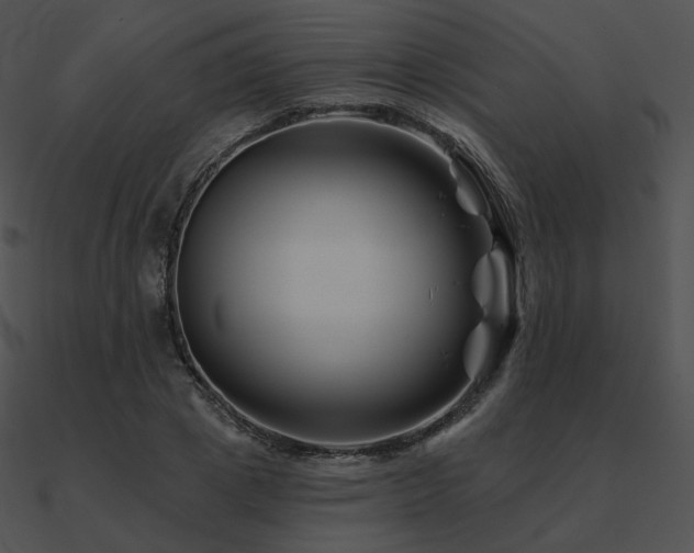 X0000090970833200708021435