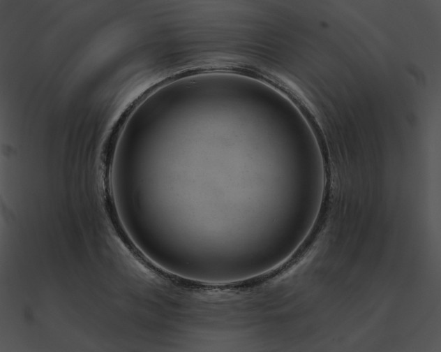 X0000090970835200708021435