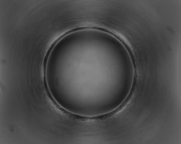 X0000090970839200708021435