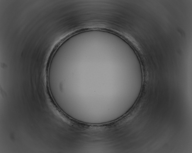 X0000090970840200708021435