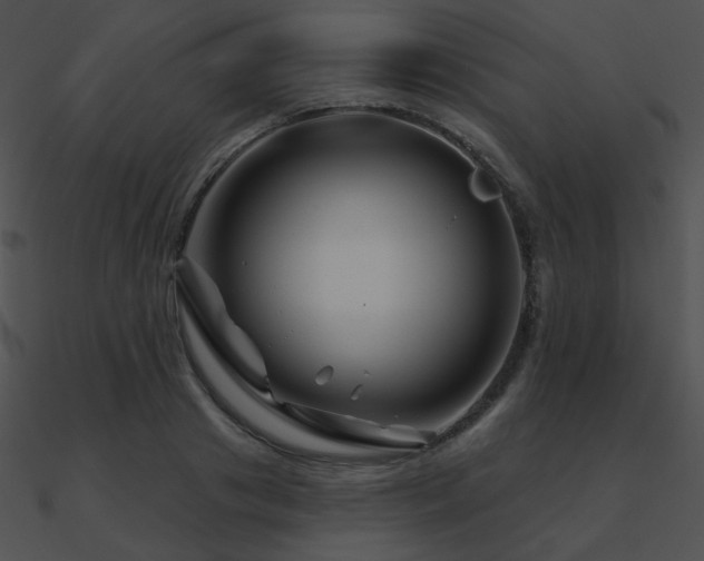 X0000090970841200708021435