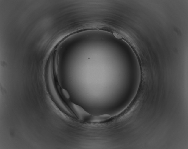 X0000090970843200708021435