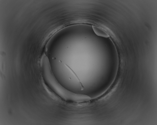 X0000090970849200708021436