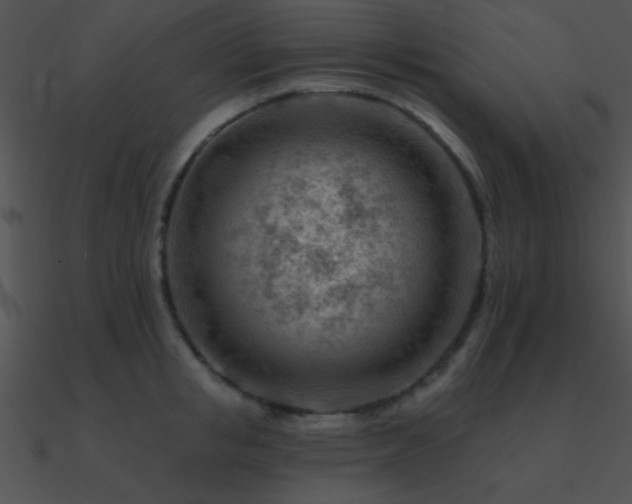 X0000090970853200708021436