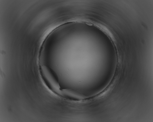 X0000090970855200708021436