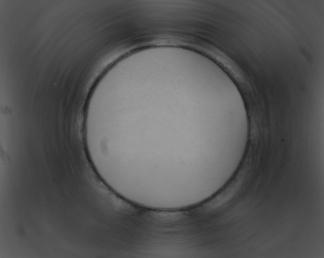 X0000090970856200708021436