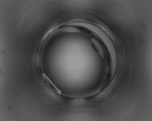 X0000090970858200708021436