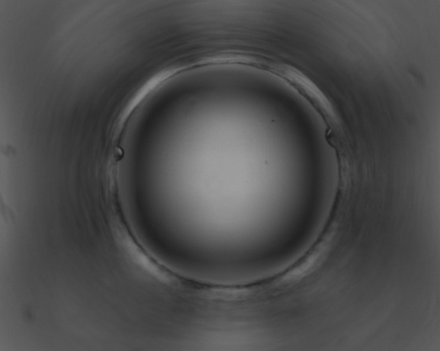 X0000090970860200708021436