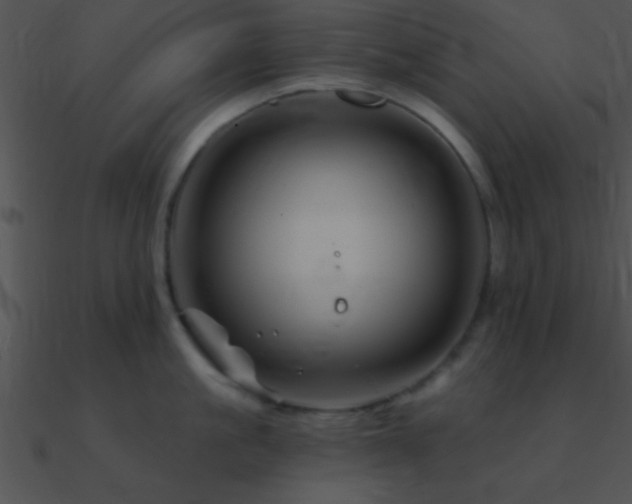 X0000090970861200708021436