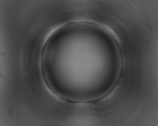 X0000090970863200708021436