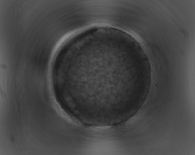 X0000090970864200708021436