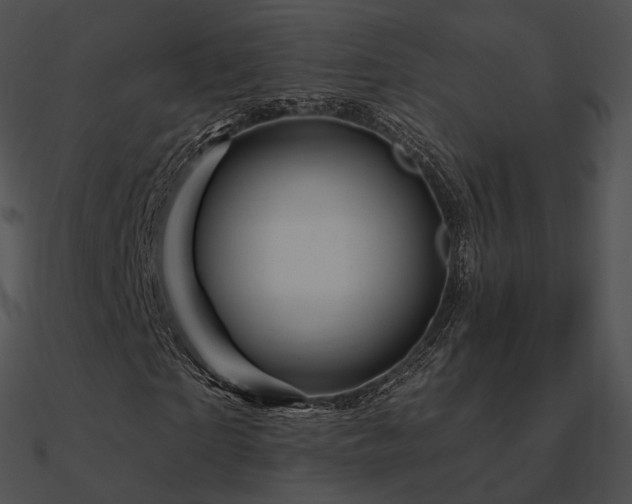 X0000090970865200708021435