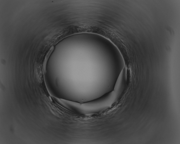 X0000090970868200708021435