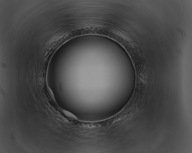 X0000090970869200708021435