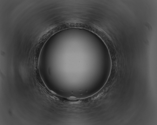 X0000090970870200708021435