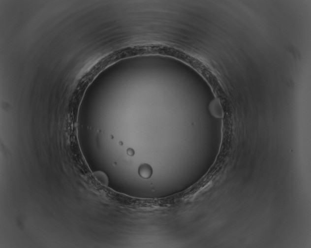 X0000090970871200708021435