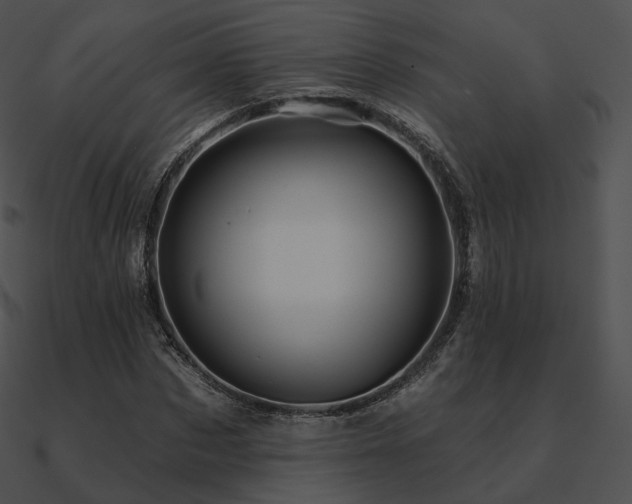 X0000090970873200708021435