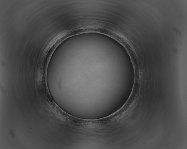 X0000090970874200708021435