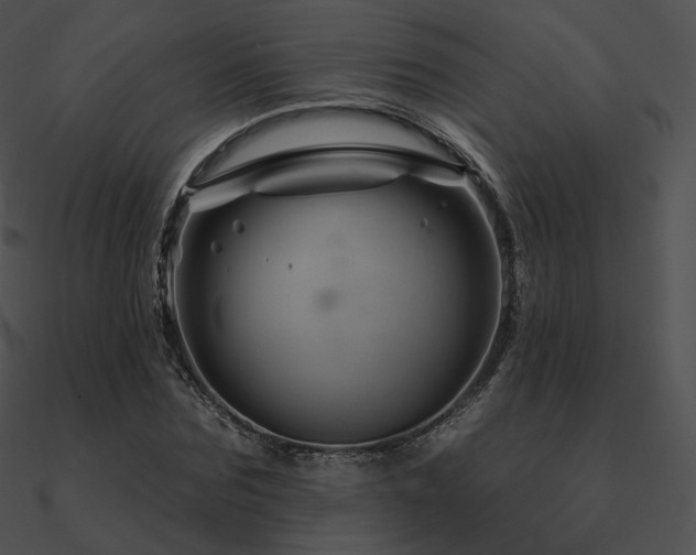 X0000090970875200708021435