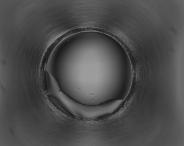 X0000090970876200708021435