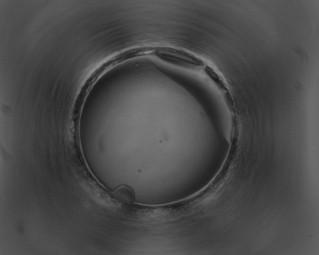 X0000090970879200708021435