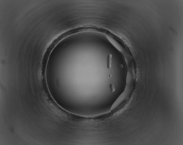 X0000090970880200708021435