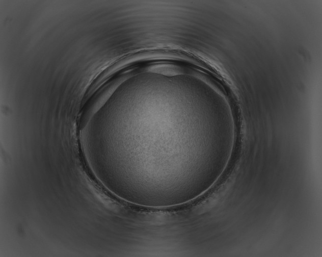 X0000090970881200708021435