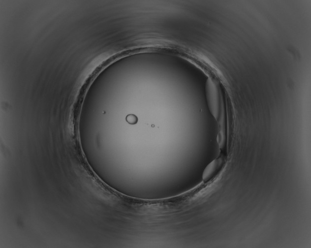 X0000090970883200708021435