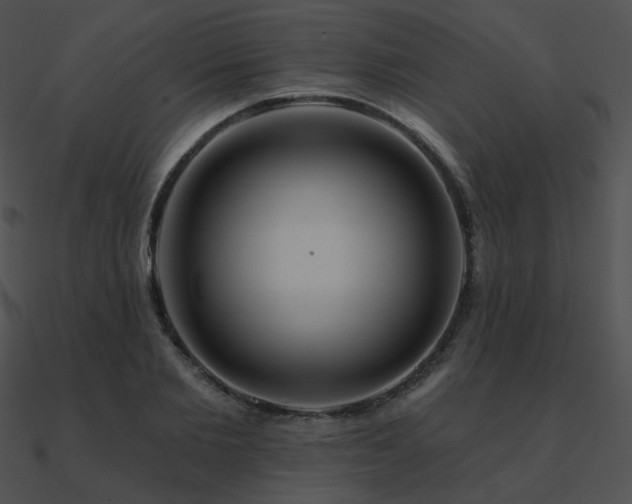 X0000090970885200708021435