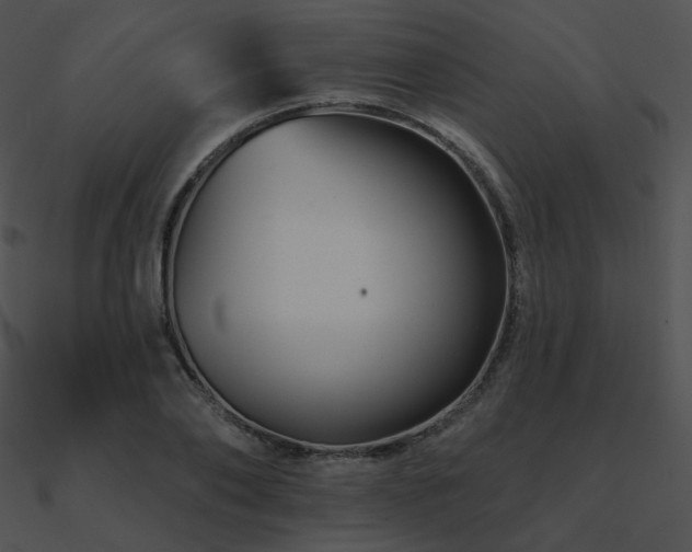 X0000090970886200708021435