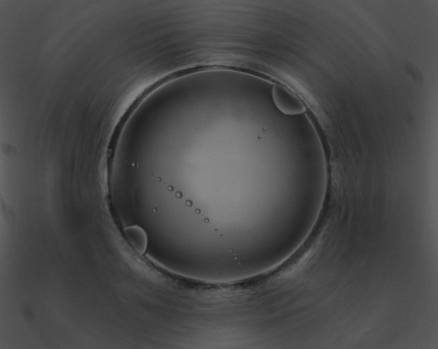 X0000090970891200708021435