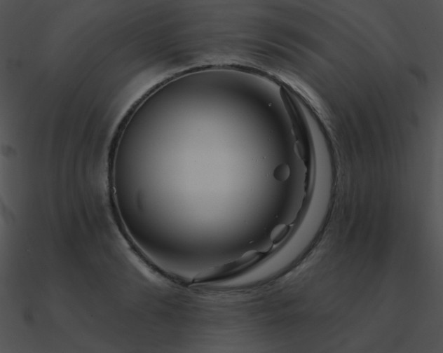 X0000090970894200708021435