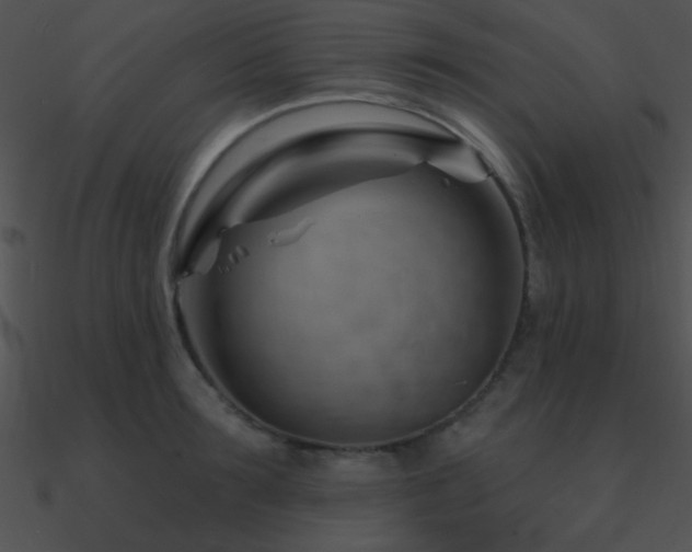 X0000090970899200708021435