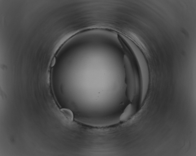 X0000090970900200708021435