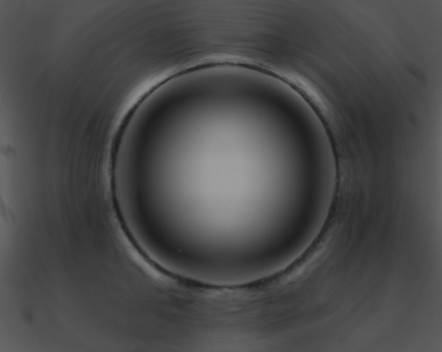 X0000090970902200708021435