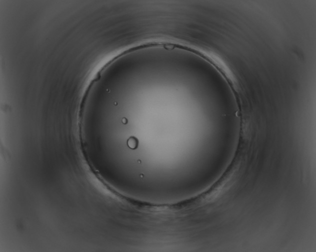 X0000090970903200708021435