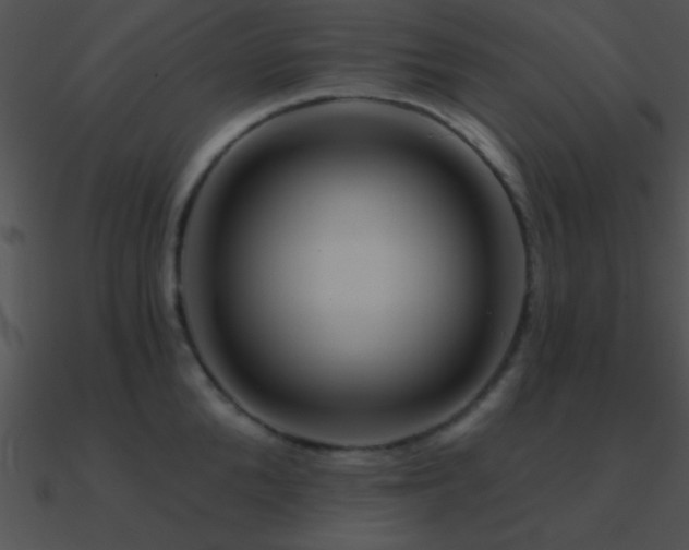 X0000090970904200708021435