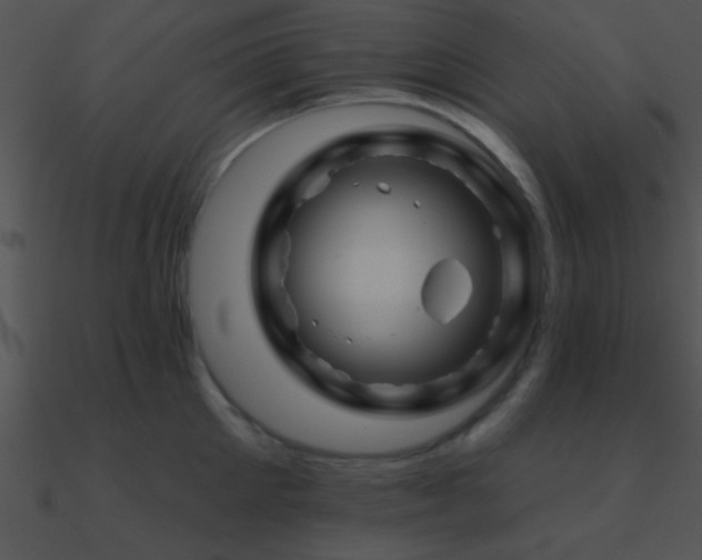 X0000090970905200708021435