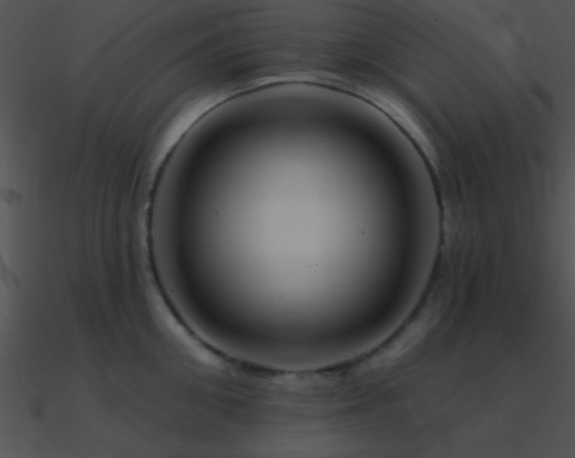 X0000090970906200708021435