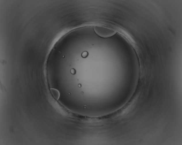 X0000090970907200708021435