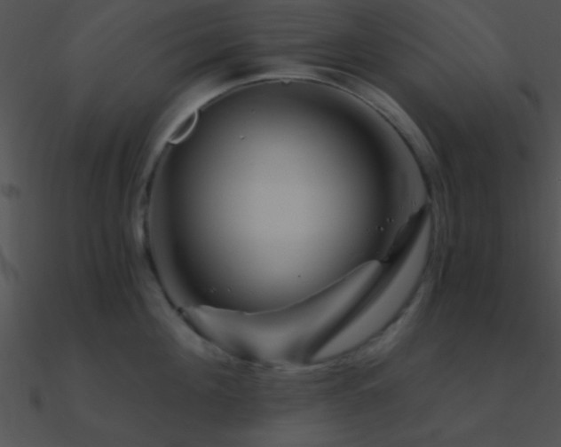 X0000090970908200708021435