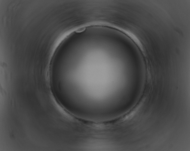 X0000090970911200708021435