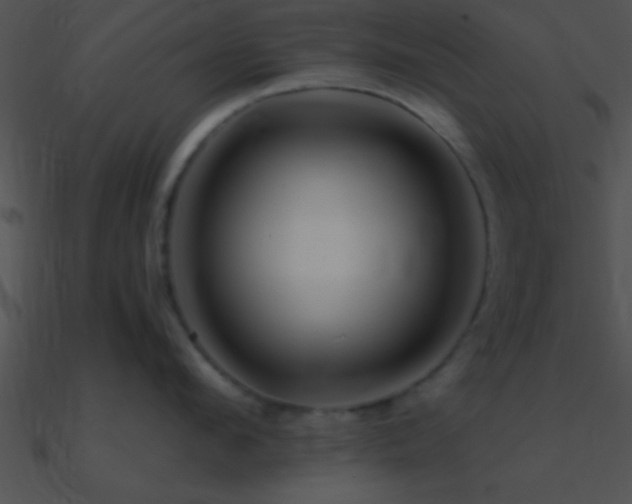 X0000090970912200708021435