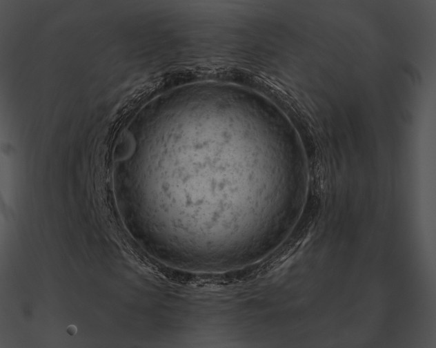 X0000090970913200708021434