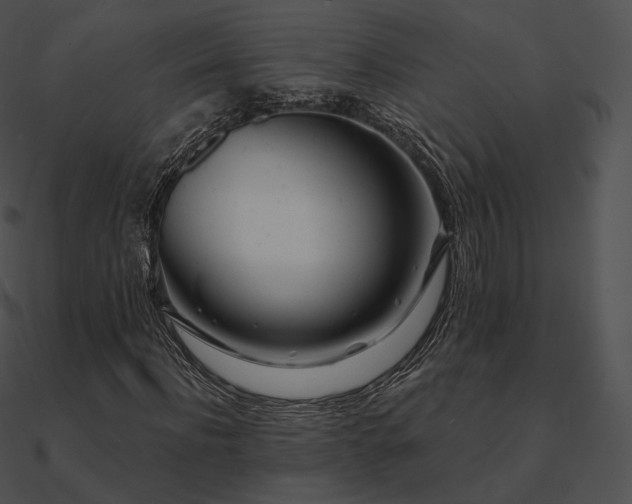 X0000090970916200708021434