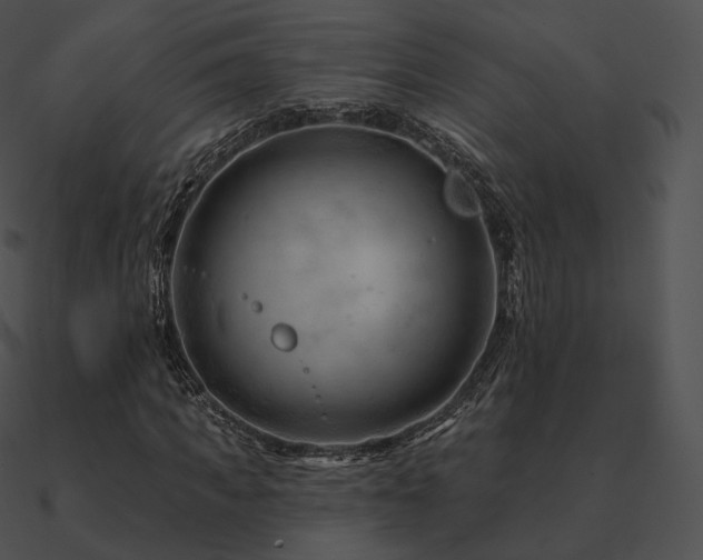 X0000090970917200708021434