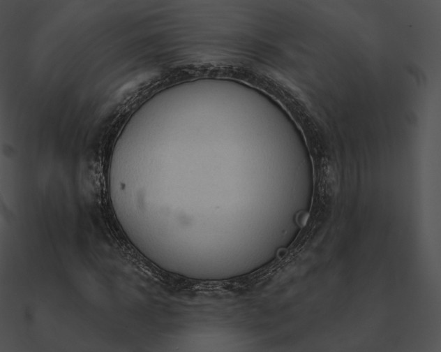 X0000090970918200708021434